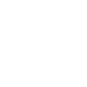 Schnepel