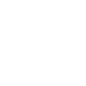 TZ1