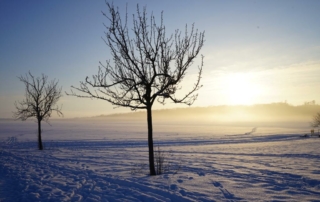 Winterlandschaft